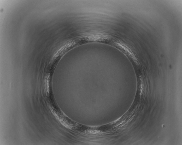 X0000087420590200704271739