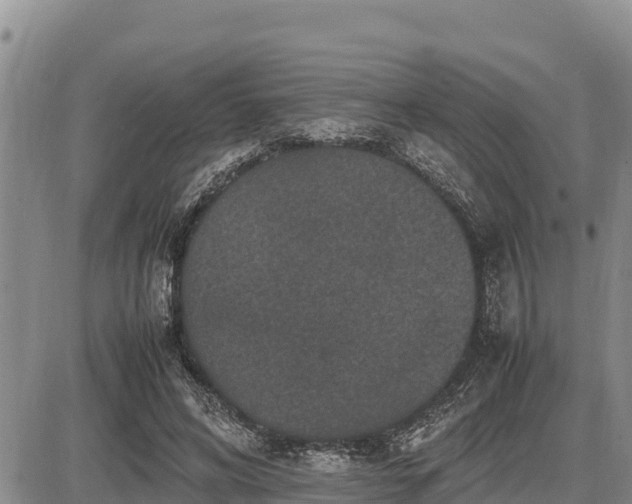 X0000087420592200704271739