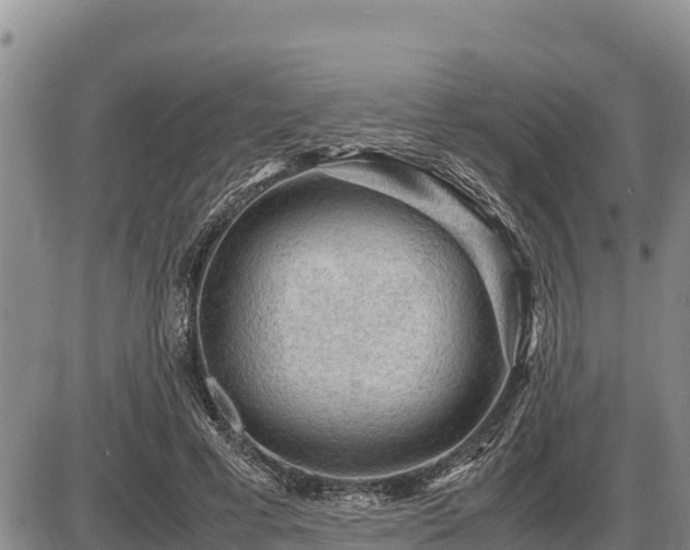 X0000087420593200704271739