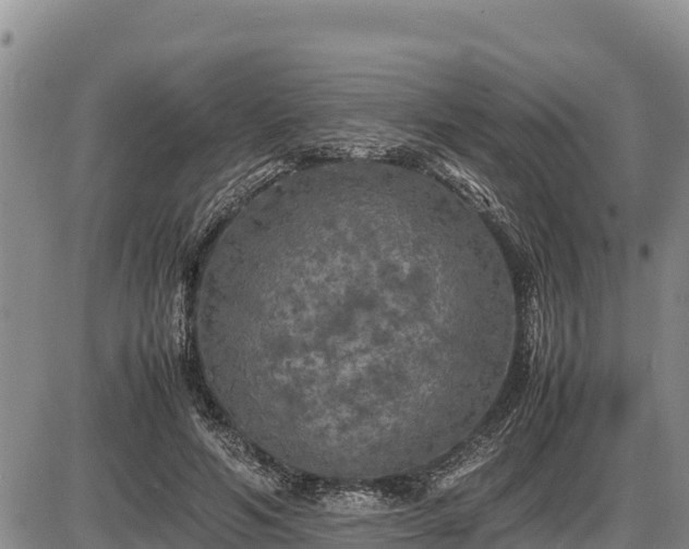 X0000087420594200704271739