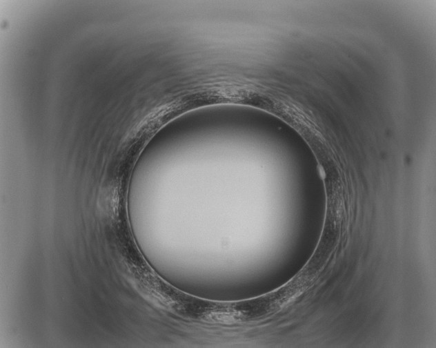 X0000087420595200704271739