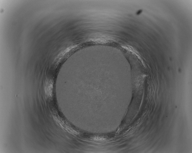 X0000087420596200704271739