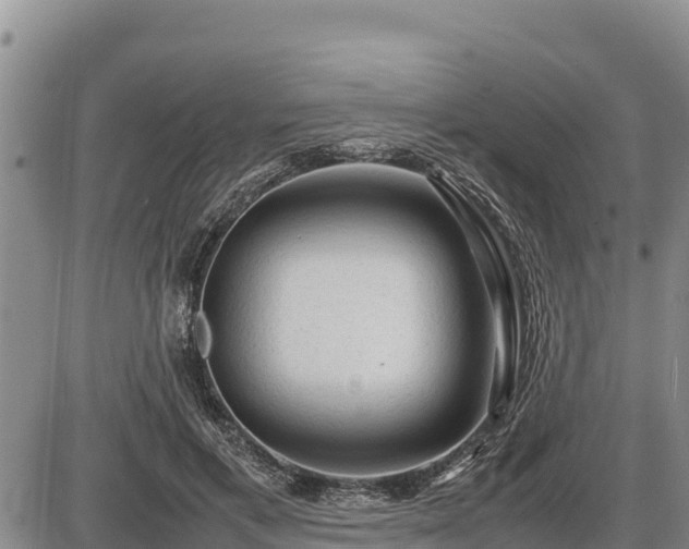 X0000087420597200704271739