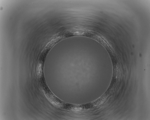 X0000087420598200704271739