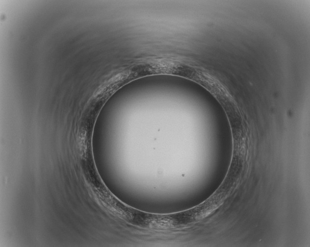 X0000087420599200704271739