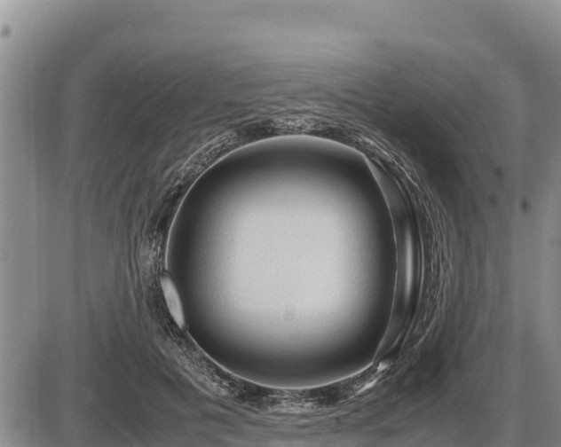 X0000087420601200704271739