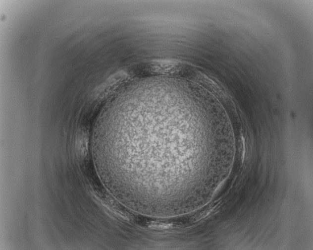 X0000087420602200704271739