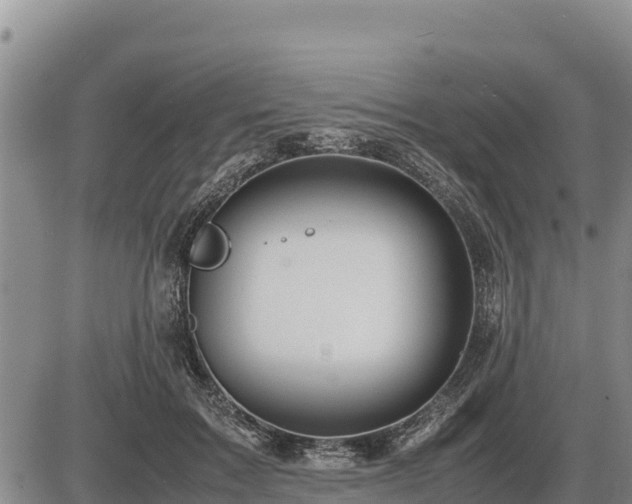 X0000087420603200704271739