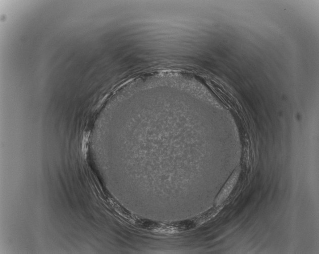 X0000087420604200704271739