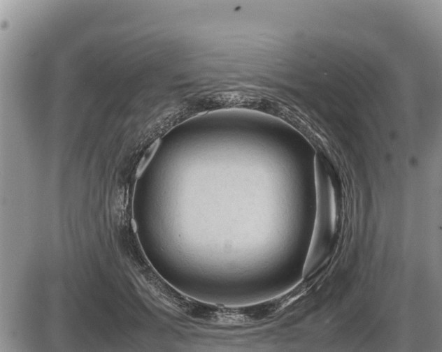 X0000087420605200704271739