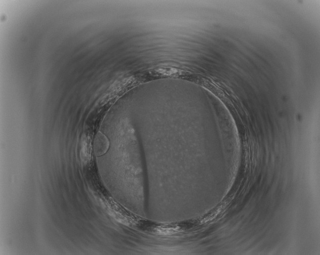 X0000087420606200704271739