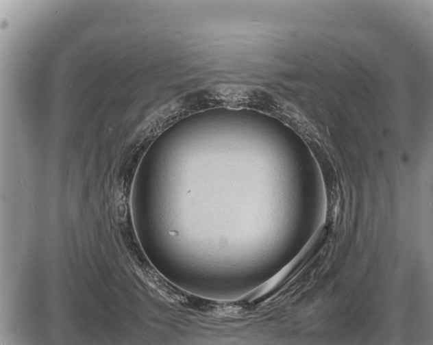 X0000087420609200704271739