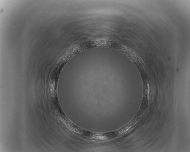 X0000087420610200704271739