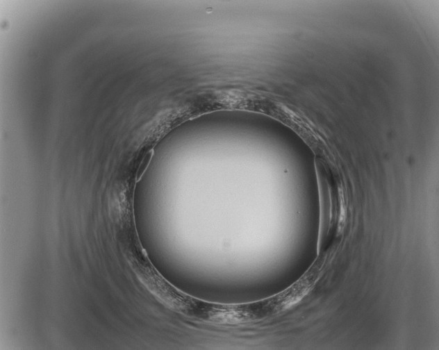 X0000087420611200704271739