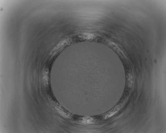 X0000087420612200704271739