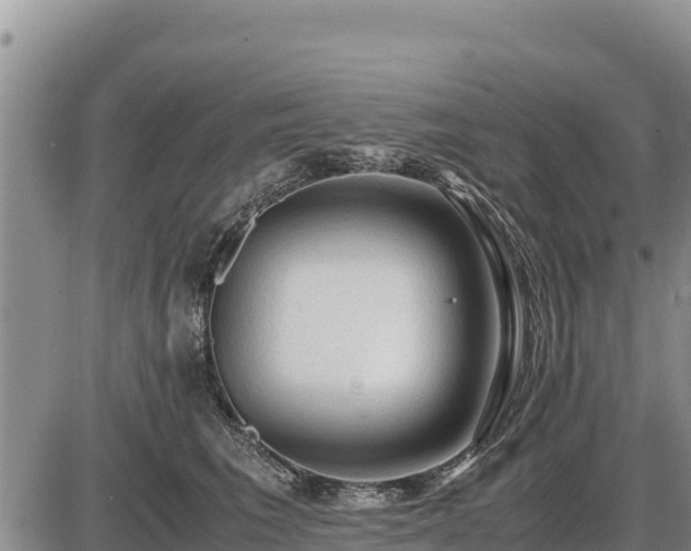 X0000087420613200704271739