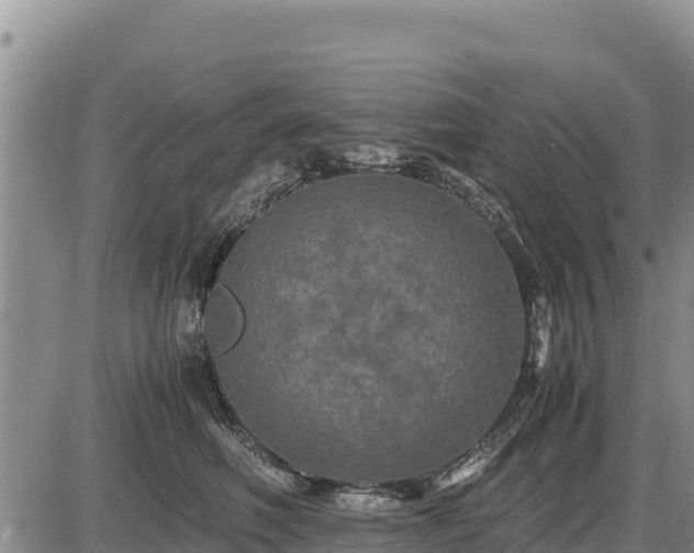 X0000087420614200704271739