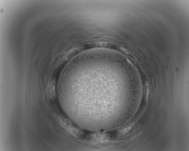 X0000087420615200704271739