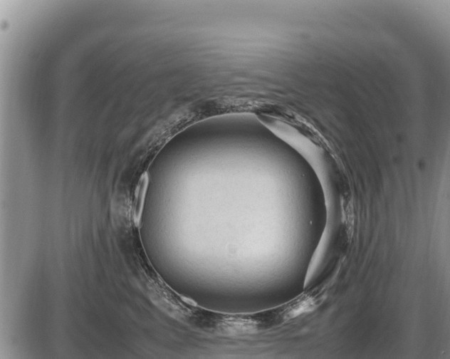 X0000087420617200704271739