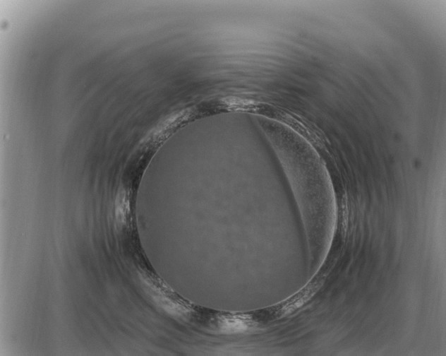 X0000087420618200704271739