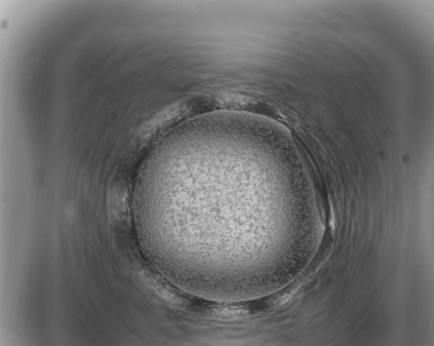 X0000087420619200704271739