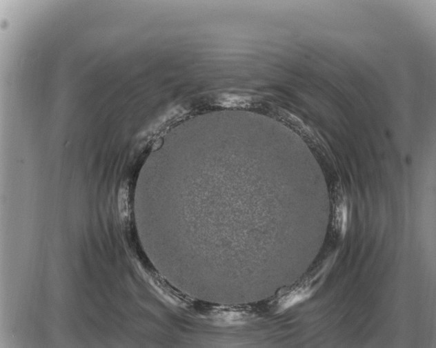 X0000087420620200704271739