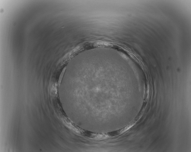 X0000087420621200704271739