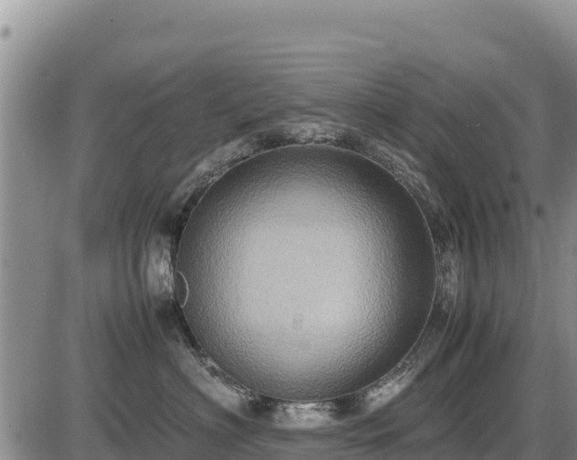 X0000087420622200704271739