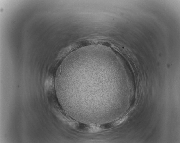 X0000087420623200704271739