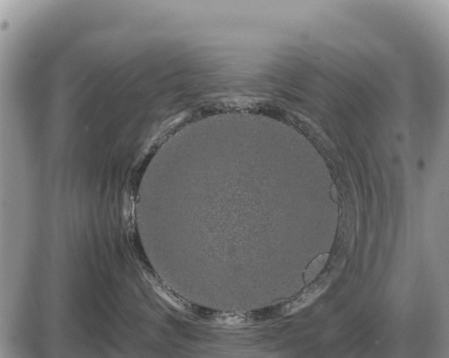 X0000087420624200704271739