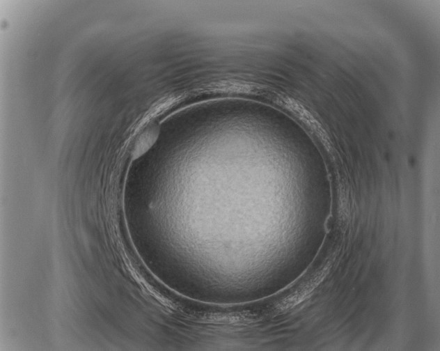 X0000087420625200704271738