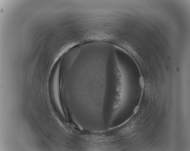 X0000087420626200704271738