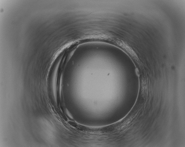 X0000087420628200704271738