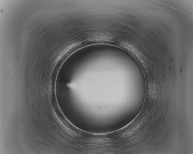 X0000087420629200704271738