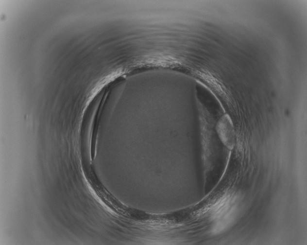 X0000087420630200704271738