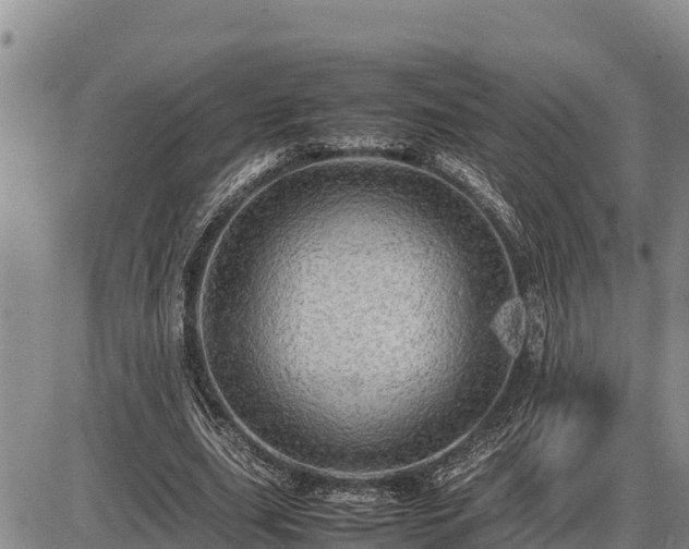 X0000087420631200704271738