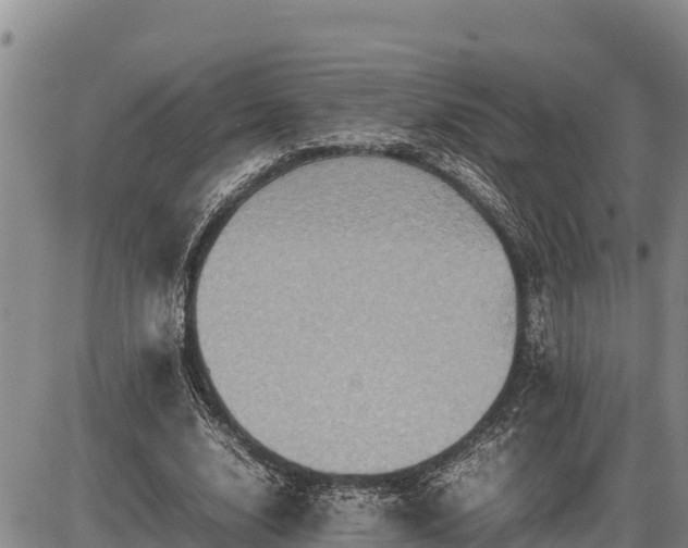 X0000087420632200704271738