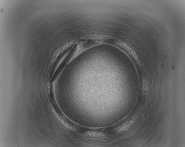 X0000087420633200704271738