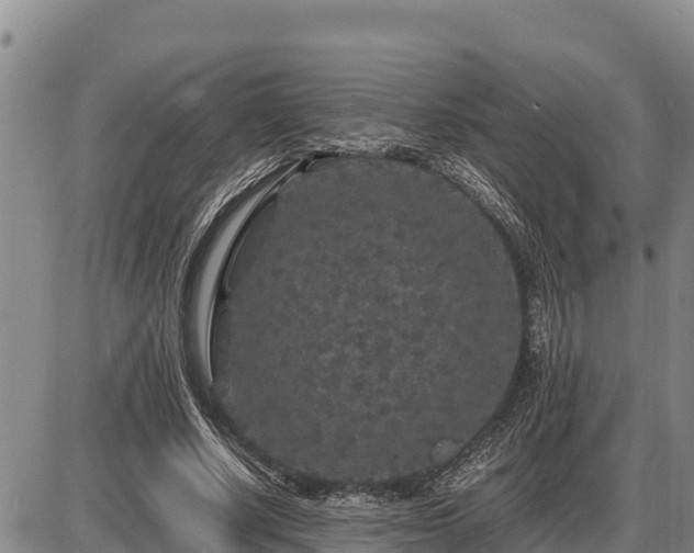 X0000087420634200704271738