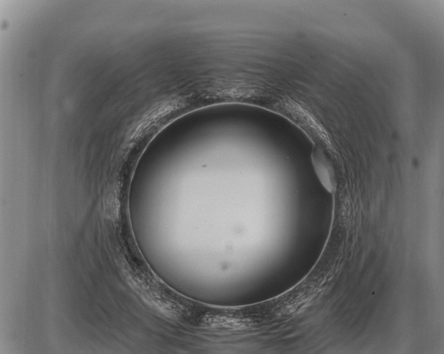 X0000087420635200704271738