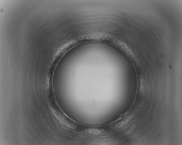 X0000087420636200704271738