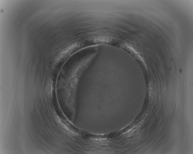 X0000087420637200704271738