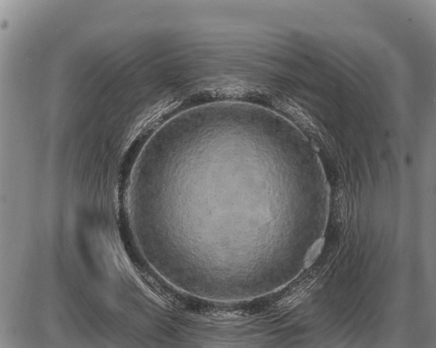 X0000087420638200704271738