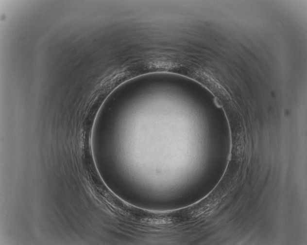 X0000087420639200704271738