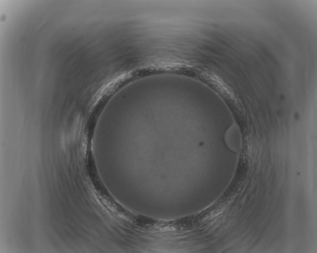 X0000087420640200704271738