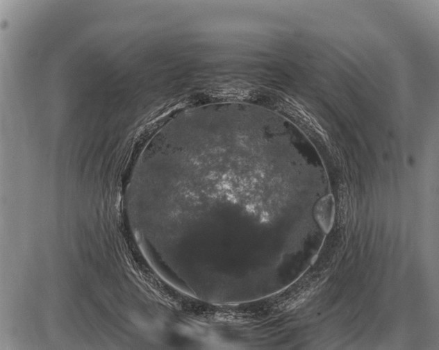 X0000087420641200704271738