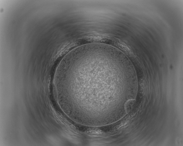 X0000087420642200704271738