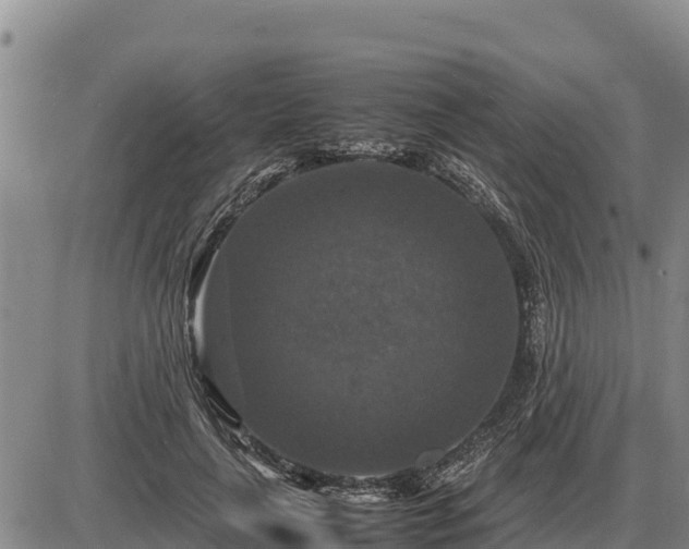 X0000087420643200704271738