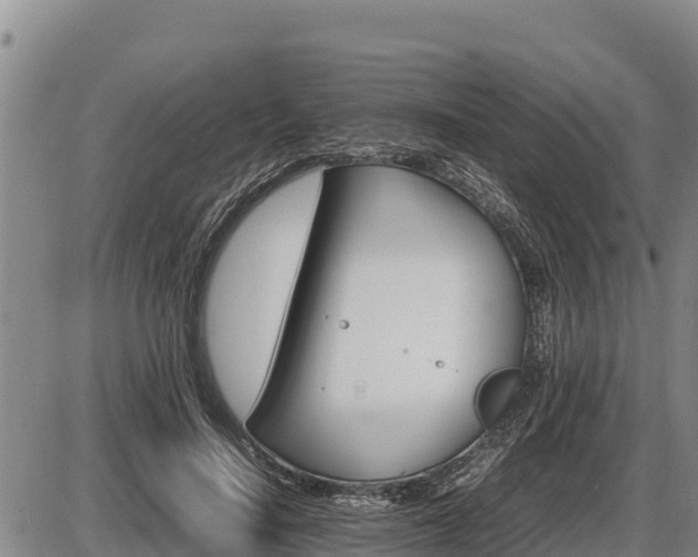 X0000087420644200704271738