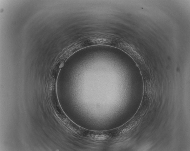 X0000087420645200704271738